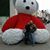 Menny Arzola's profile image