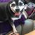 Lisa Nelms Williams's profile image