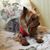 Shelley Fuller's profile image