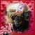Karen Weaver Robertson's profile image