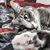 Heather Pushard's profile image