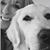 Angie Colyer's profile image