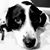 Donyale Madsen's profile image