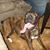 Brian Bremer's profile image