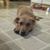 Diane Zalazinski's profile image