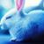 Promise Ebigbagha's profile image