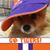 Elane Smart Brown's profile image