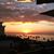 Melinda Strout's profile image