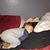 Angela Renee Shoun-Wedgbury's profile image