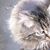 Sarah Stoner's profile image