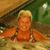 Nathalie Evans's profile image