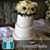 Kerri Pellens's profile image