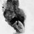 Taylor Loucks's profile image
