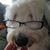 Beth Maurer's profile image