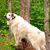 Cherie Wagensomer's profile image