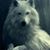 Kim Martin's profile image