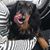 Lyn Haynes's profile image