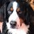Diane Reinke-Kendrick's profile image