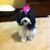 Pamela Ochs's profile image