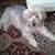 Betty Waters Clinard's profile image