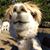 Sarah Holloway's profile image