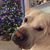 Michelle Pompa Bennett's profile image
