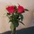 Mindy Fisher-Caliguri's profile image