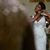 Jessica Gottacar Carless's profile image