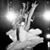Ashley Reade Wegmann's profile image