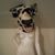 Timm Scherbert's profile image