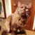 Christine Shipley's profile image