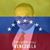 Nelson Borrego's profile image