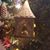 Curtand Patti Sigmon's profile image