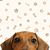 Chris Smith's profile image