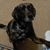 Susan Meyer-Swiger's profile image