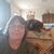 Donna R Boehm's profile image