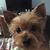 Paula Sandridge Price's profile image