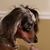 Jim McGregor's profile image