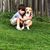 Lisa Goda's profile image