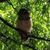 Liz D Hoyle's profile image