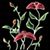 Ashna Islam's profile image