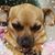 Rhonda Grubb's profile image