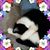 Pamela Krawetzki Swanigan's profile image