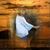 Oly Amaya's profile image