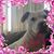 Jason Dombrowski's profile image