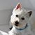 Nancy Seay's profile image