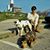 Sean Tao Tom's profile image