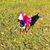 Angelique Chuck Kane's profile image