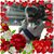 Charity Peck's profile image