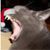 Maria DiNapoli's profile image